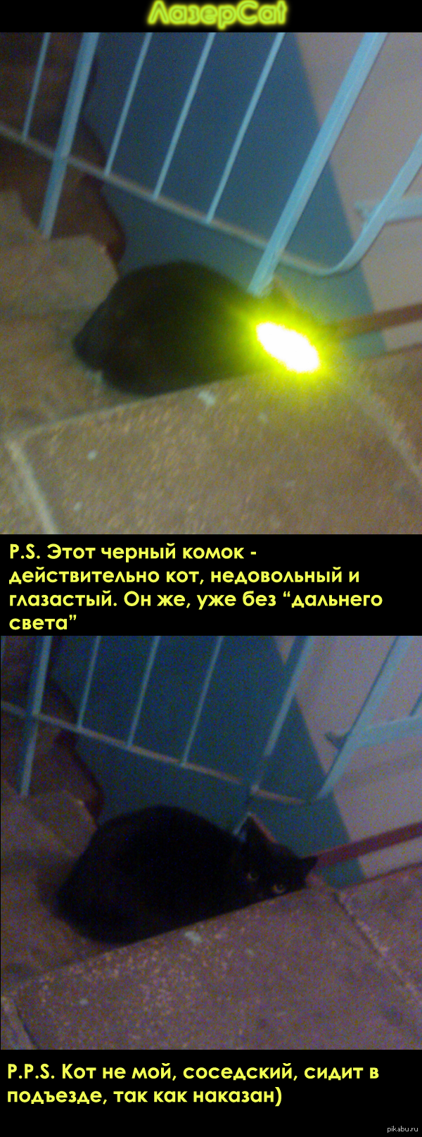 Cat     <a href="http://pikabu.ru/story/myi_prosto_sfotali_svoego_kota_kogda_igrali_s_nim_2451524">http://pikabu.ru/story/_2451524</a>      )