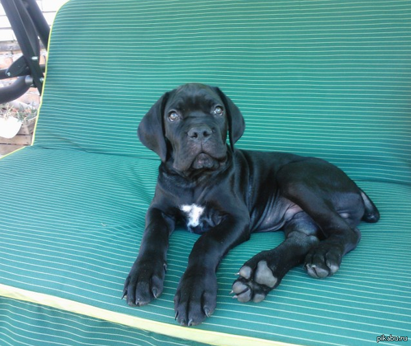 ����� �� ��� ������