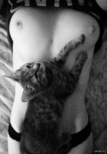 2 in 1 :3 - NSFW, Boobs, cat, Two in one