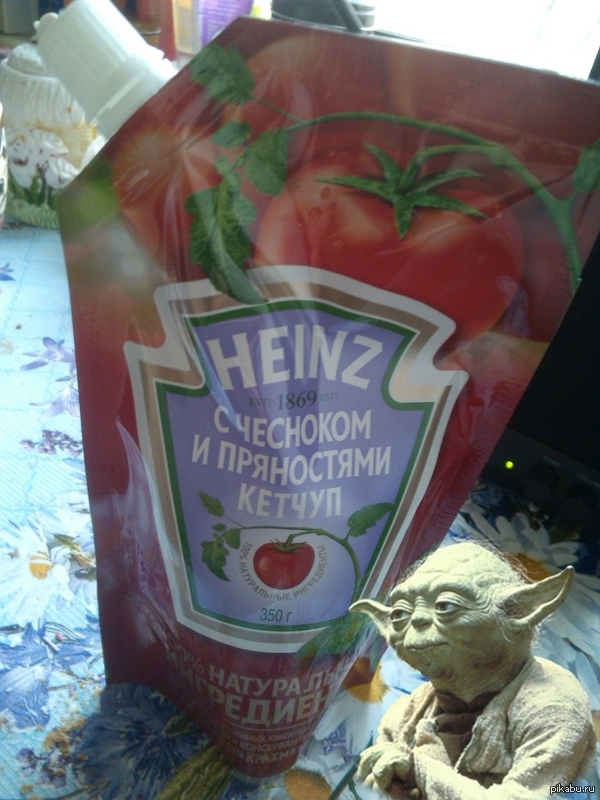 ���� ������ �������