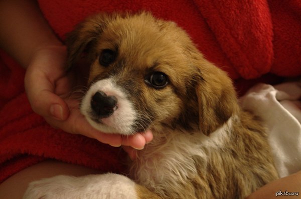 ����� � �����,�� �����,���� ������� ����� �������. � ��������� �� ������.(������ ��� ������ ������)