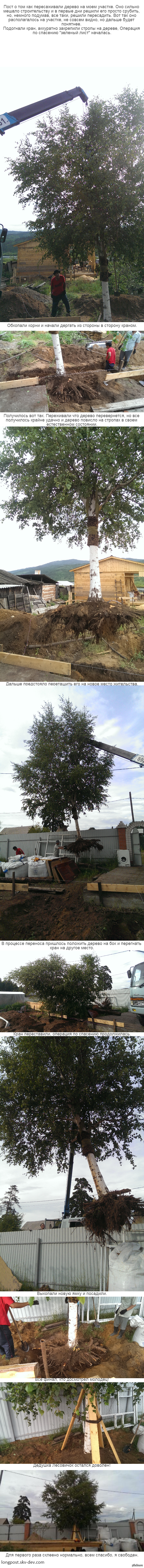 ���� ��������� ��������� � �������