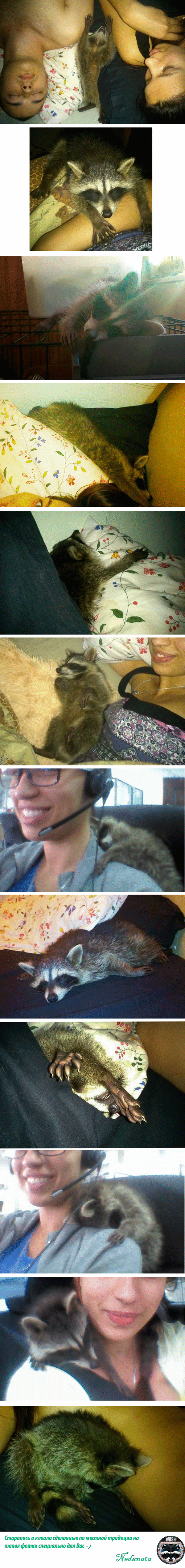 ��� ���� ����