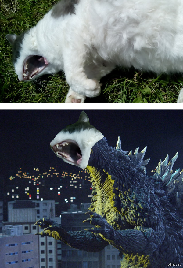 Catzilla       :3
