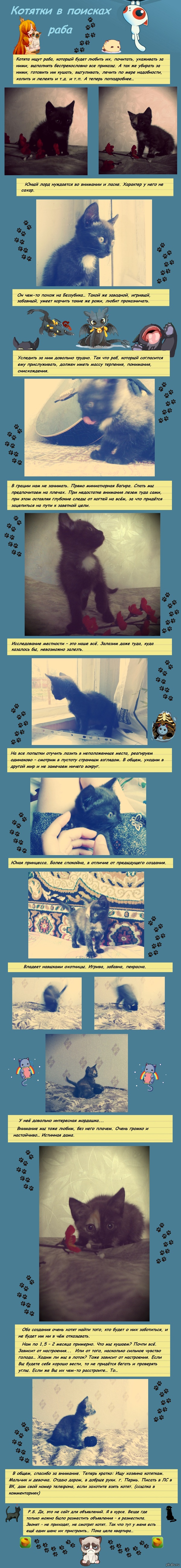 ������� � ������� ������� ����