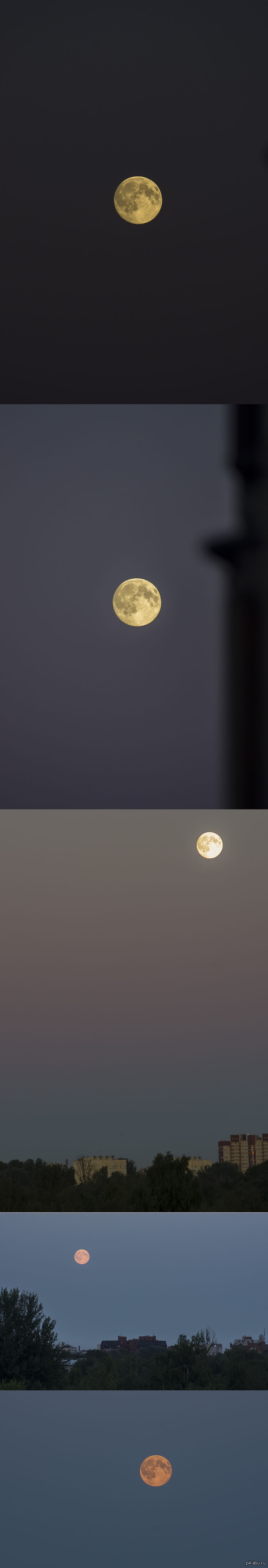  2014,  11  12   ) 