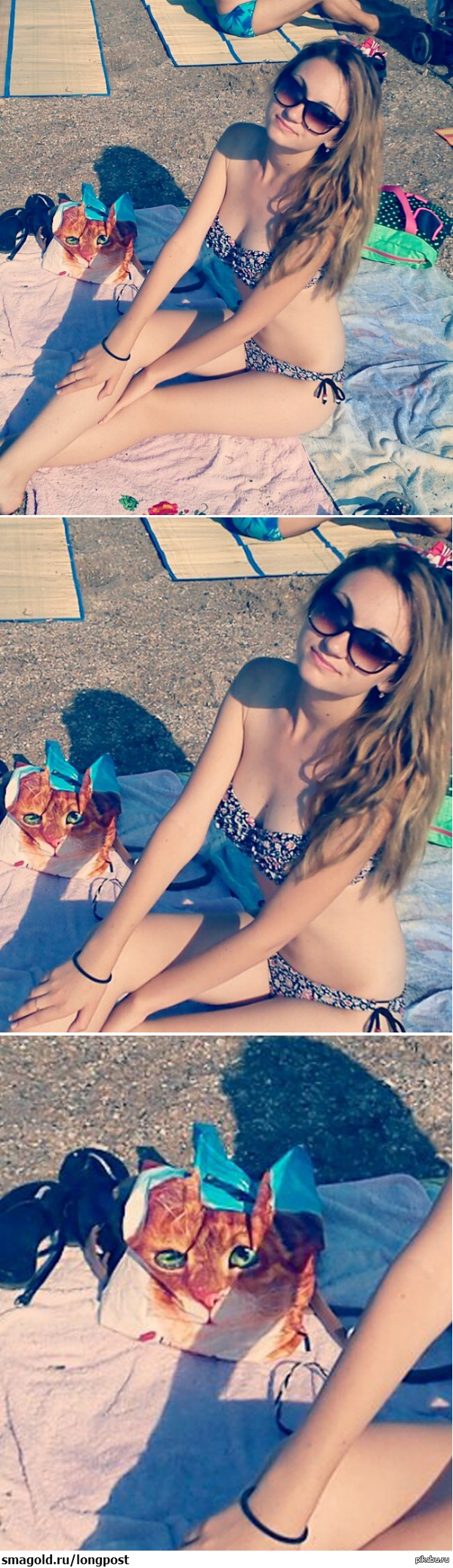 А Вы берёте с собой домашних питомцев на пляж ?