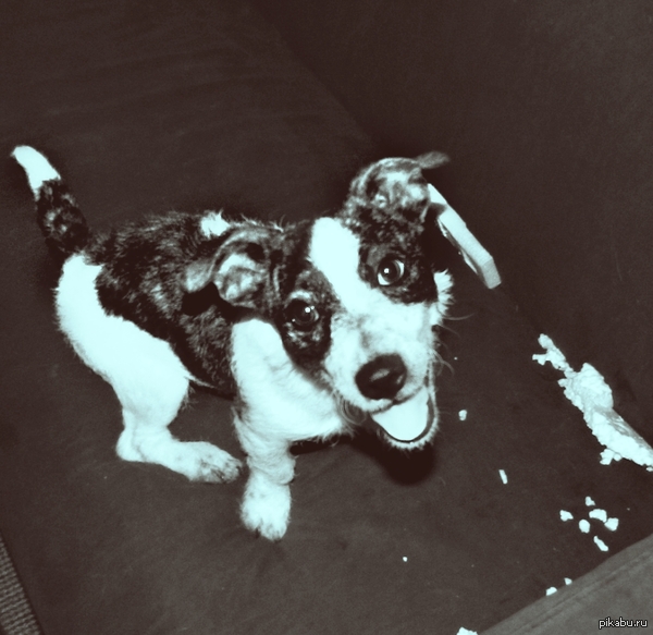 ��� ��� ����( ������ �������))