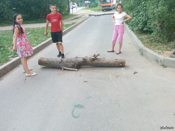 Вот так у нас во дворе борются с лихачами