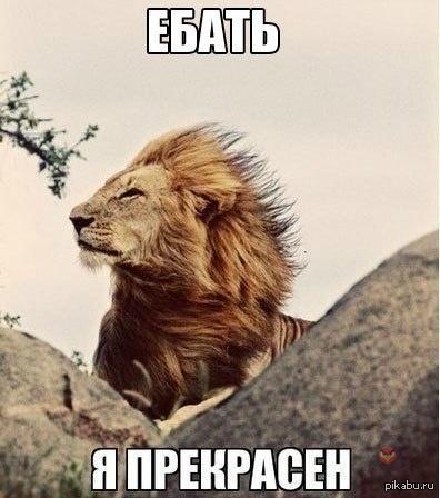 ���� ���� ��������� ��� "� �������".