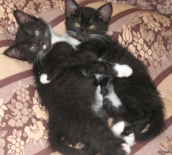 ���������� � �����