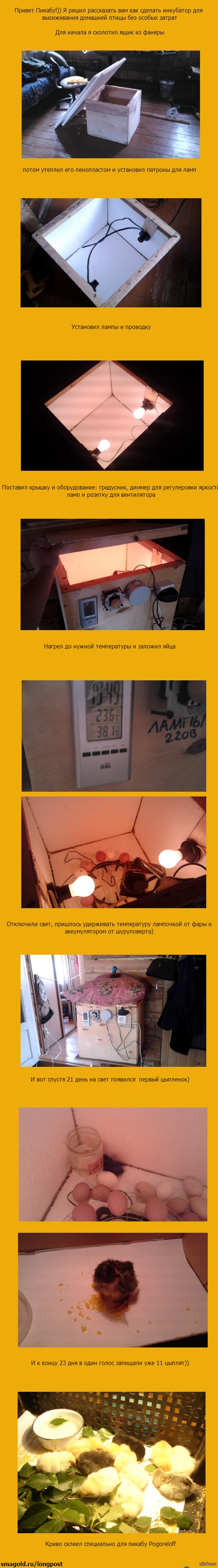 ��� � ����� ���������