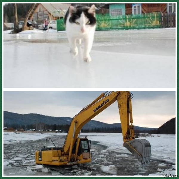 ������� � �������