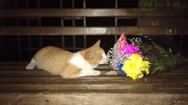 Цветы?! Мне?!