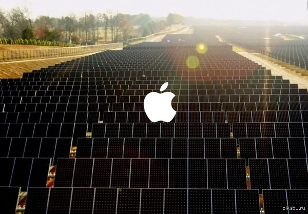 Apple      17.5   Apple,  ,           .    