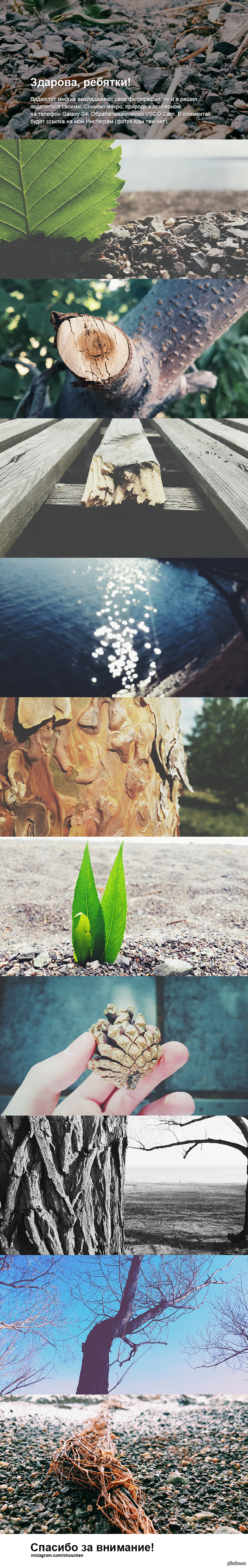 Длиннопост с моими фотографиями