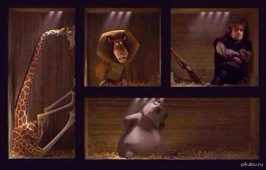 Тем времен...