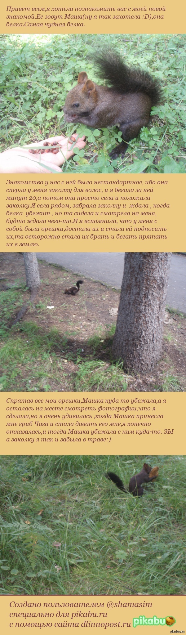 ����� ��������.