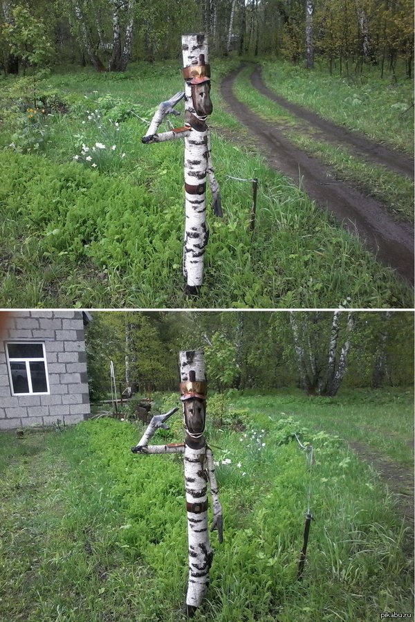 ������ ��� ������