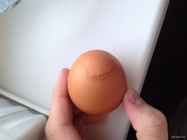 ������ ���������� ����