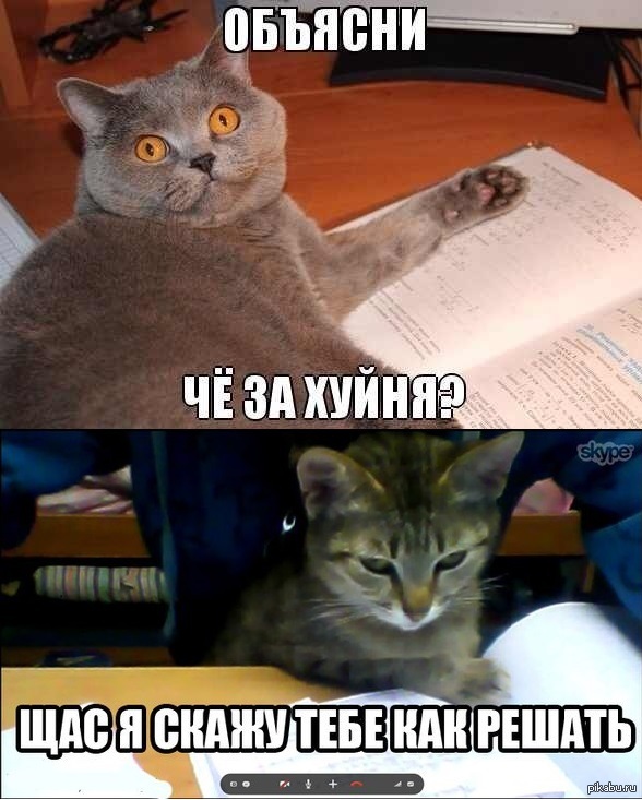 ��� ������ ��������� ������