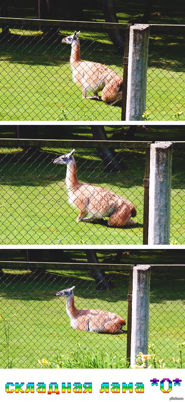 ��� ������� ����.