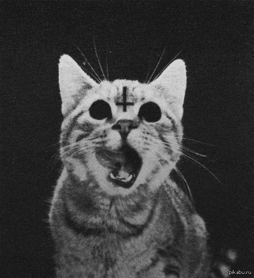 ���� ��.�����