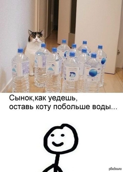 Уехал оставил сына. Оставил коту воды. Оставь коту побольше воды. Уедешь оставь коту побольше воды. Налей коту побольше воды.