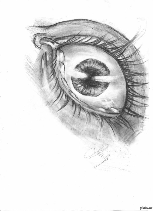 ������ �������