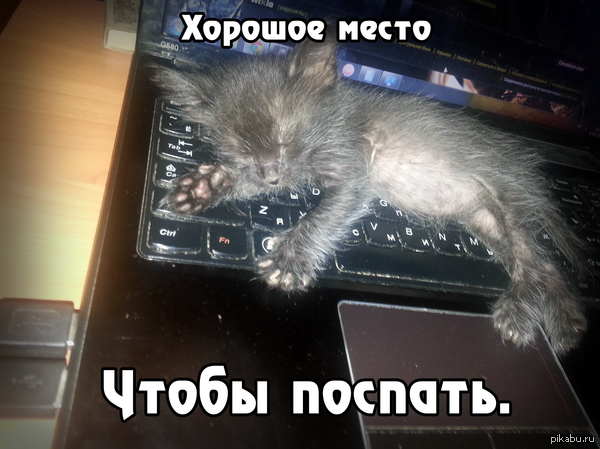   .   . :D