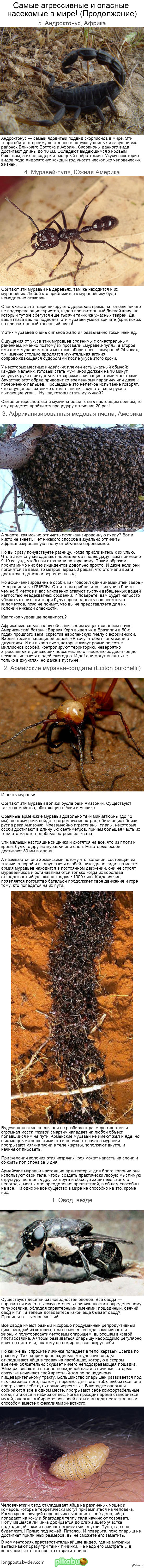 ����� ����������� � ������� ���������, ����� � ������������� � ����! (�����������)