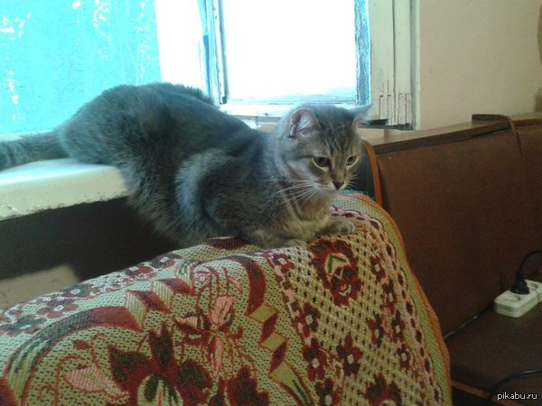 ��� �� ����� ������