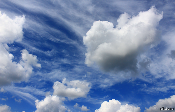 ������ ����