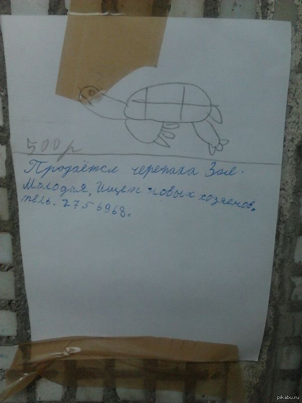 ������:3