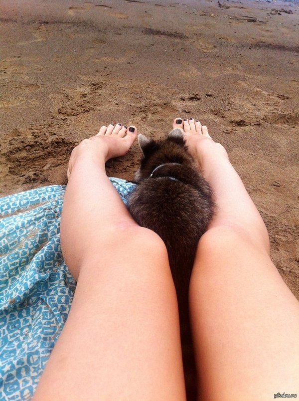 ���� � ����� ���� �������� �����, ��� � ������ �� ���