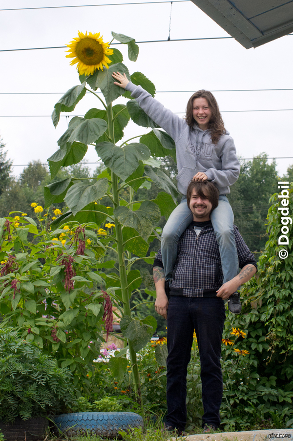 ����� �������!