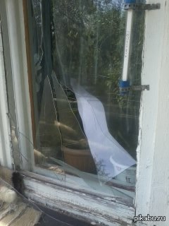 �������� ������ ���� ������