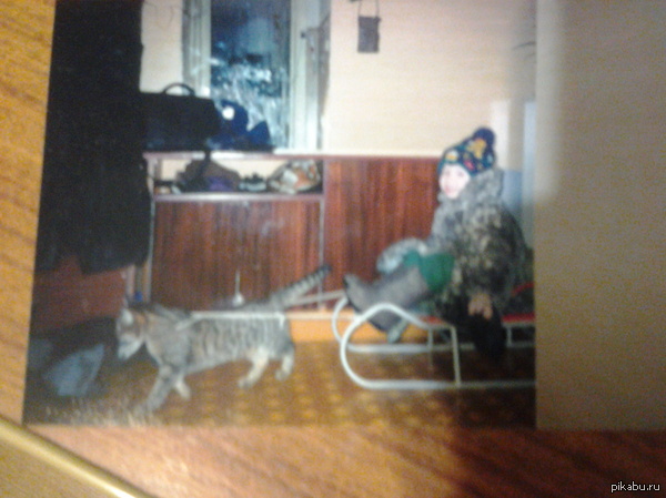 ����� ���� ���������� � �������(�� �������� ��������).