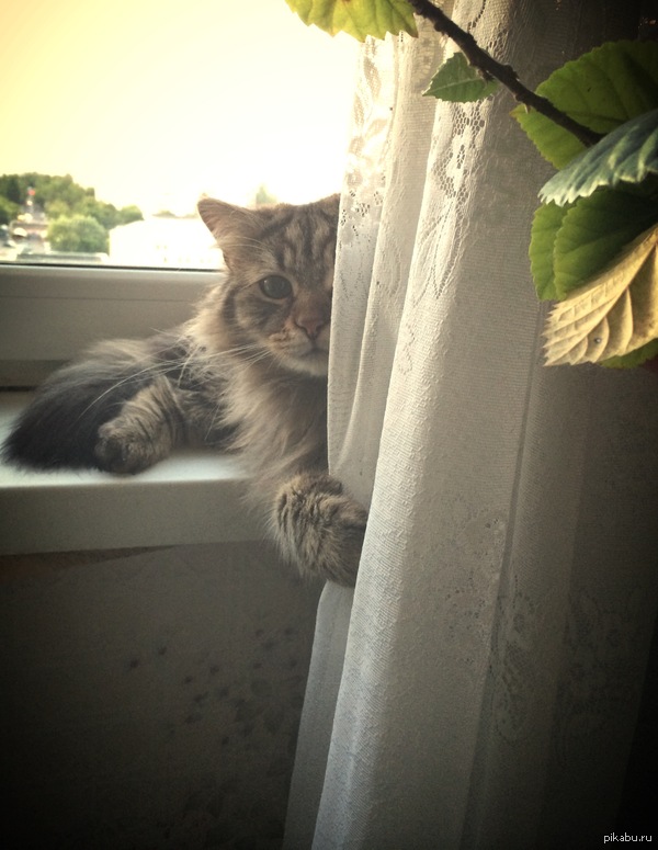 ���������� - �����,��� �� ����� ����������