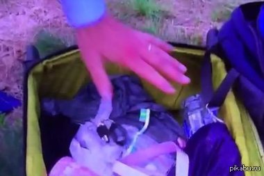 Репортер SkyNews копался в вещах погибшего пассажира "Боинга"