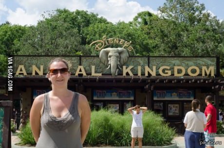 �� ����� �������