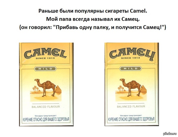 �������� "�����"