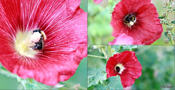 �������� �����...)