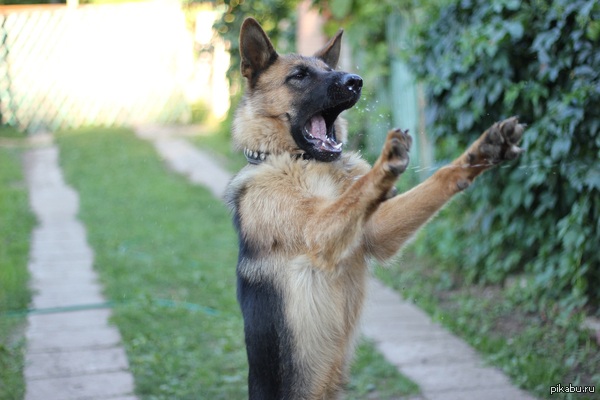 ������, ������� ������ ����� �� �������