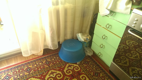 Найди кота)