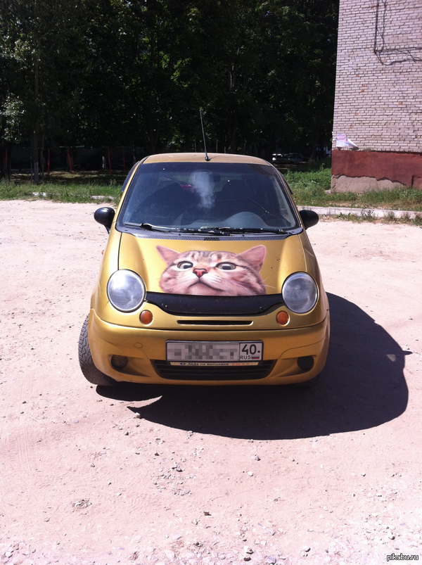 ������ �������