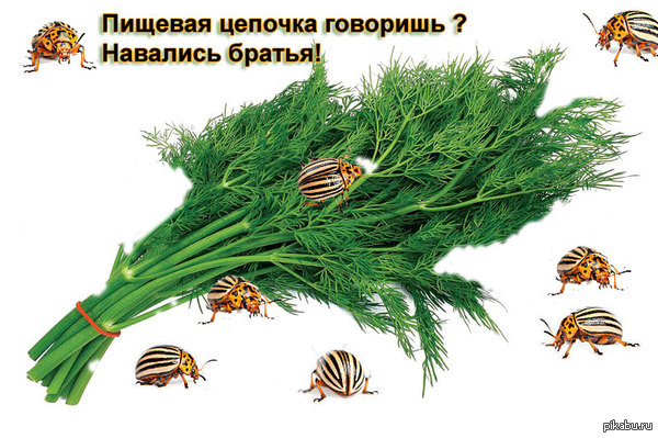 Если подумать...