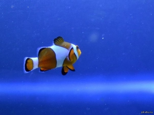 ��������� ���� � ������������� ��������!