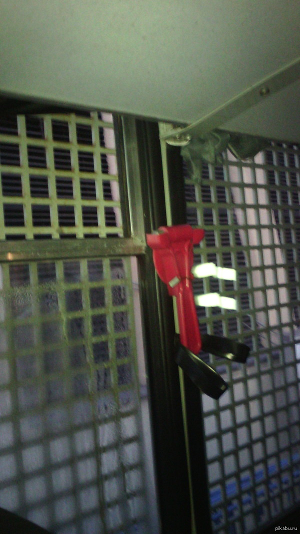 � ������ ������ ������� ������