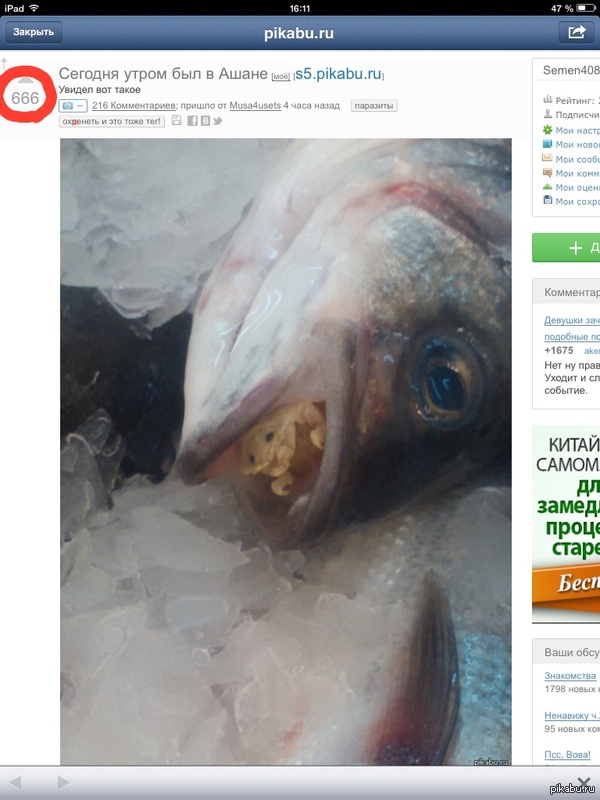 � ����� �� ���� http://pikabu.ru/story/_2509458  ����������?...